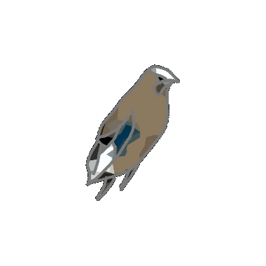 Icon of a Jay rotating